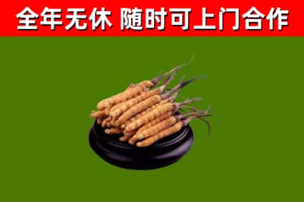 衢江烟酒回收冬虫夏草.jpg