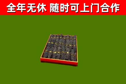 衢江烟酒回收海参.jpg